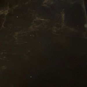 Ralph Lauren Polo Sport Big Pony Swim Trunks